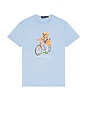view 4 of 4 T-SHIRT in Austin Blue Summer Bear