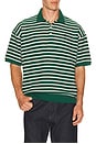 view 1 of 5 Jacquard Textured Striped Polo in New Forest & Nevis