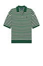 view 5 of 5 Jacquard Textured Striped Polo in New Forest & Nevis