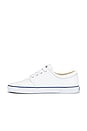 view 5 of 6 Faxon Solid Leather Low Top Sneaker in White
