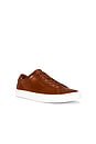 view 2 of 6 SNEAKERS JERMAIN in Pale Russet