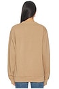 view 3 of 4 Lynyrd Skynyrd Blue Eagle Sweatshirt in Sand