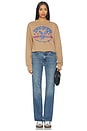 view 4 of 4 Lynyrd Skynyrd Blue Eagle Sweatshirt in Sand