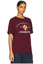 view 2 of 4 Tシャツ in Maroon