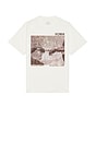 view 1 of 4 Roma The Sistine Chapel Boxy Tee in Natural