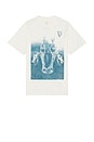 view 1 of 4 Guinness Horse Boxy Tee in Natural