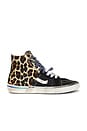 view 2 of 6 Caly Star Sneakers in Leopard & Black