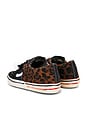 view 3 of 6 Caly Star Low Sneakers in Black & Brown Leo