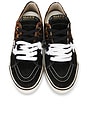 view 4 of 6 Caly Star Low Sneakers in Black & Brown Leo