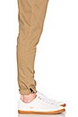 view 5 of 5 Amado Jogger in Khaki