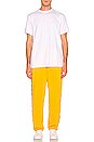 view 4 of 4 T-SHIRT REVERSE in White