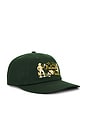 view 3 of 3 Dustup 6 Panel Cap in Dark Green