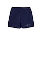 view 1 of 1 x ATP Tennis Shorts in Dark Blue