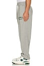 view 5 of 5 Vitas Sweatpants in Grey Melange Green