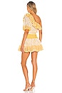 view 3 of 3 La Pescade Dress in Yellow
