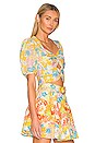 view 2 of 4 La Coupure Cut Out Top in Blue Daisy