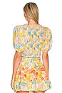 view 3 of 4 La Coupure Cut Out Top in Blue Daisy