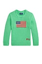 view 1 of 2 Kids Flag Cotton Crewneck Sweater in Plato Green