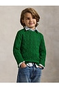 view 4 of 5 Long Sleeve Cable Knit Crewneck Sweater in Athletic Green