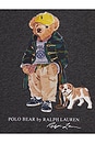 view 6 of 6 Long Sleeve Fleece Bear Graphic Crewneck Sweatshirt in Bear Windsor Heather