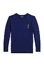view 1 of 2 Long Sleeve Cable Knit Bear Graphic Crewneck Sweater in Fall Royal