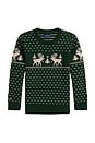 view 1 of 2 Long Sleeve Intarsia Reindeer Sweater Coverall in Green Combo
