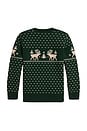 view 2 of 2 Long Sleeve Intarsia Reindeer Sweater Coverall in Green Combo