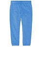 view 2 of 2 Polo Kids Logo Graphic Jogger Pant in Harbor Island Blue