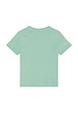 view 2 of 2 Short Sleeve Cotton Jersey Crewneck T-shirt in Celadon