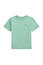 view 1 of 2 Kids Short Sleeve Cotton Jersey Pocket T-shirt in Essex Green
