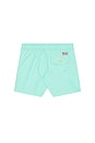 view 2 of 2 Polyester Traveler Swim Trunk in Parakeet