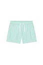 view 1 of 2 Recycled Polyester Traveler Swim Trunk in Celadon