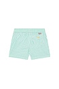 view 2 of 2 Recycled Polyester Traveler Swim Trunk in Celadon