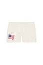 view 1 of 2 Kids Cotton Loop Back Terry Flag Embroidered Short in Nevis