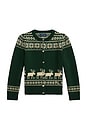 view 1 of 2 Long Sleeve Intarsia Holiday Cardigan in Northwest Pine Multi