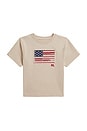 view 1 of 2 Kids Short Sleeve Jersey Knit Flag Crewneck T-shirt in Expedition Dune Heather