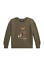 view 1 of 3 SUDADERA NOVELTY BEAR  in Cruise Olive