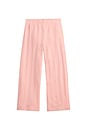 view 1 of 2 PANTALON in Adirondack Rose