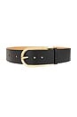 view 1 of 3 Smooth Vachetta Belt in Black & Gold