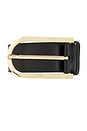 view 3 of 3 Smooth Vachetta Belt in Black & Gold