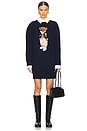 view 1 of 5 Prep Bear Day Dress in Hunter Navy