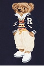 view 5 of 5 Prep Bear Day Dress in Hunter Navy