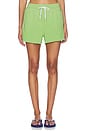 view 1 of 6 SHORTS ISLAND DE FORRO POLAR ESTÁNDAR. in Parakeet Green