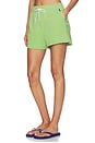 view 3 of 6 SHORTS ISLAND DE FORRO POLAR ESTÁNDAR. in Parakeet Green