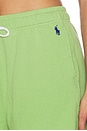 view 6 of 6 SHORTS ISLAND DE FORRO POLAR ESTÁNDAR. in Parakeet Green