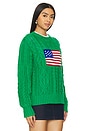 view 2 of 4 Flag Pullover in Stem Green