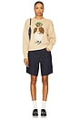 view 4 of 4 Polo Bear Cotton Crewneck Sweater in Tan Multi