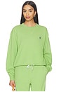 view 1 of 5 Island Crew Neck Sweatshirt in Parakeet Green