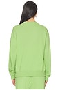view 3 of 5 Island Crew Neck Sweatshirt in Parakeet Green