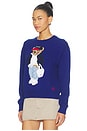 view 2 of 5 Cotton Bear Crew Pullover Sweater in Sporting Royal